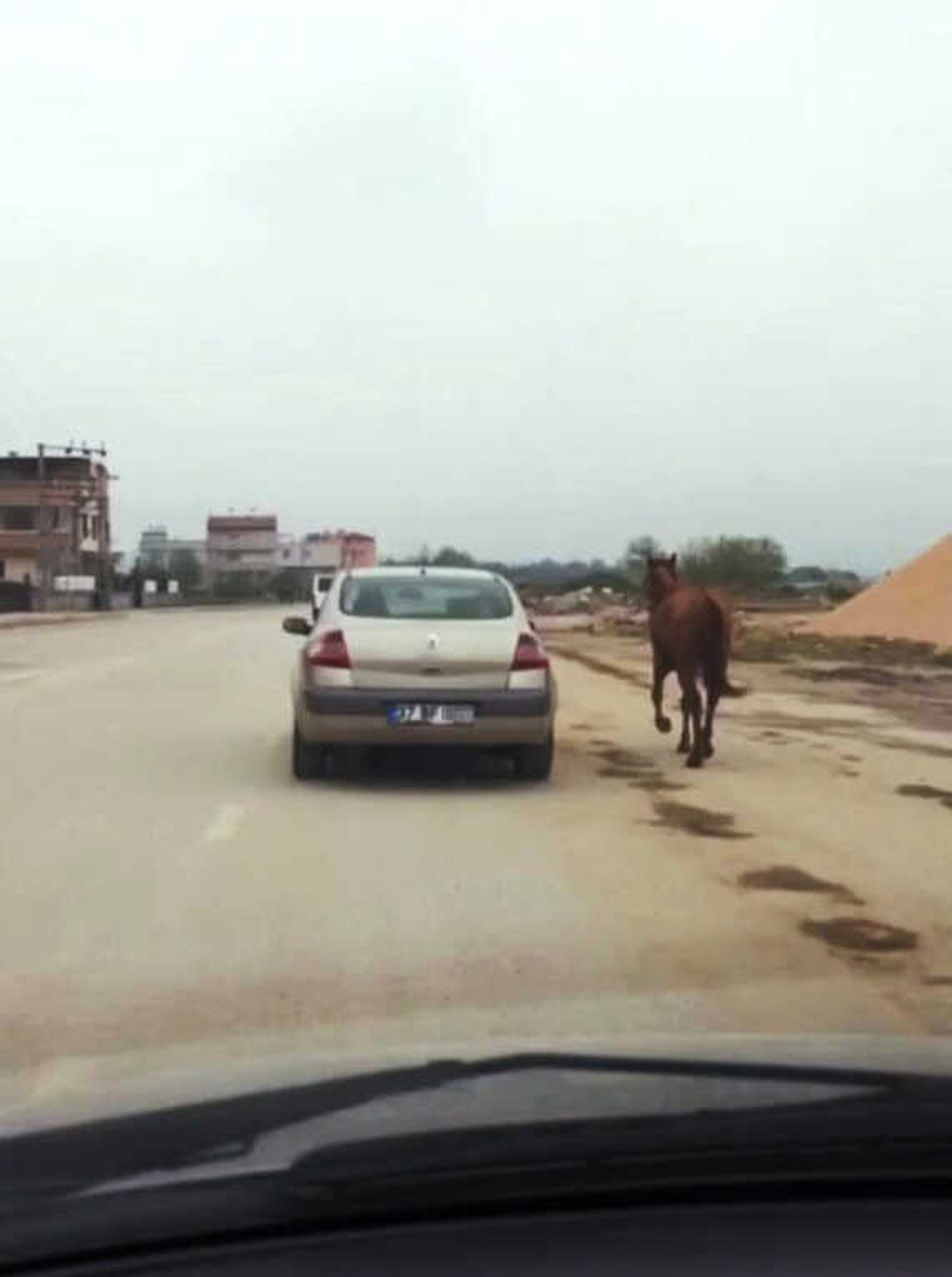 Atı Otomobiline Bağlayıp Koşturdu