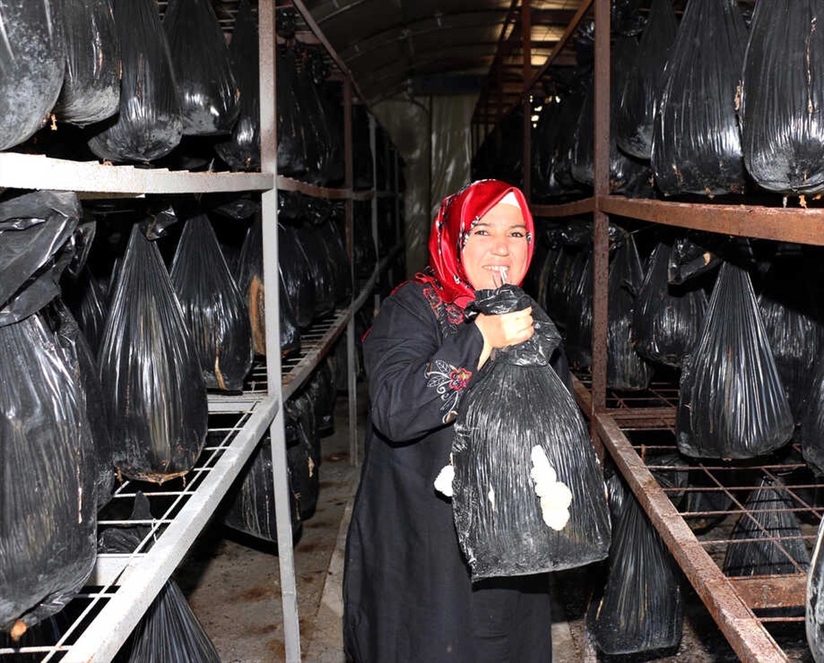Büyükşehirin Açtığı Kursla Kendi İşini Kurdu
