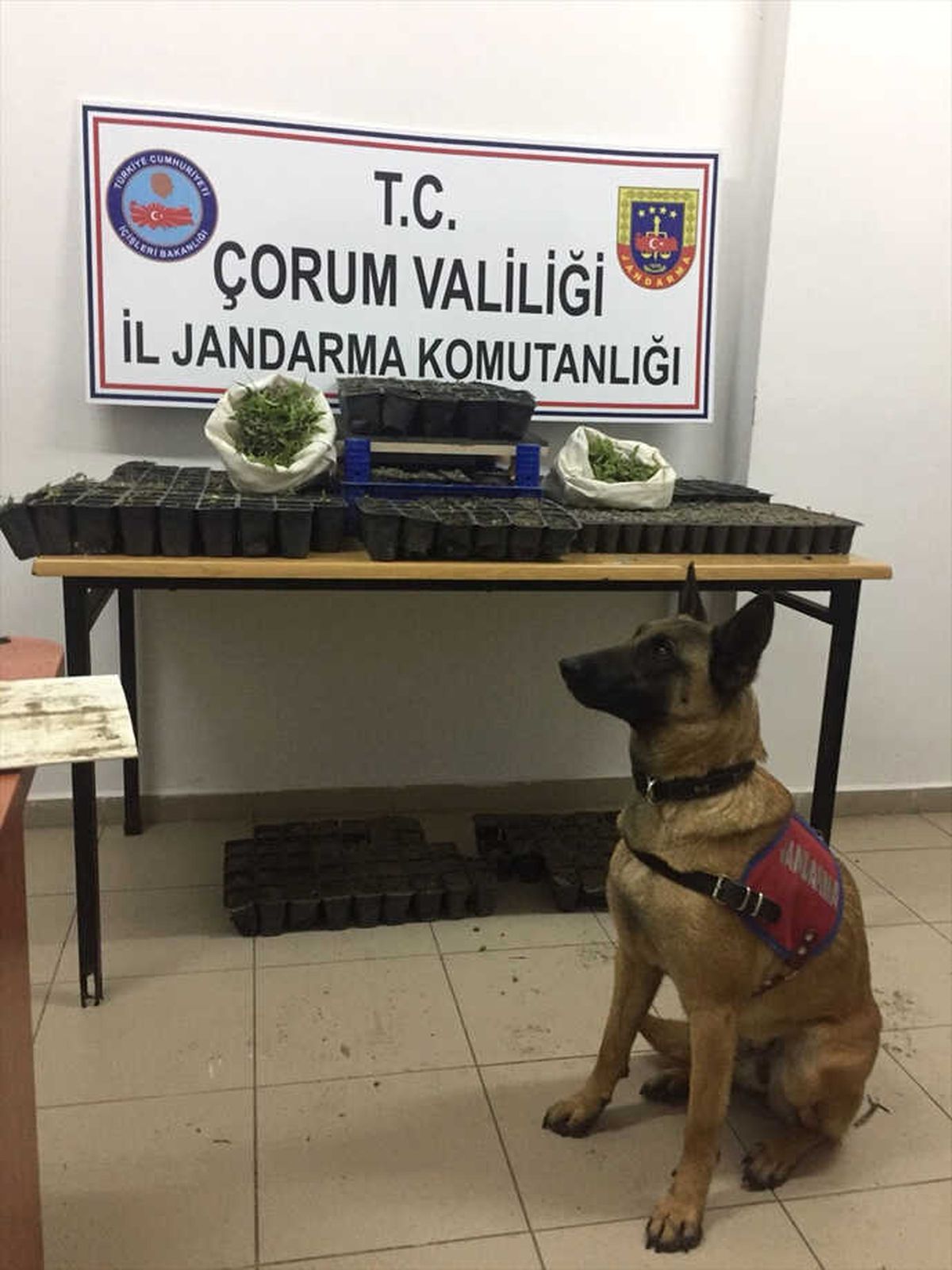 Çorum\'da Uyuşturucu Operasyonu