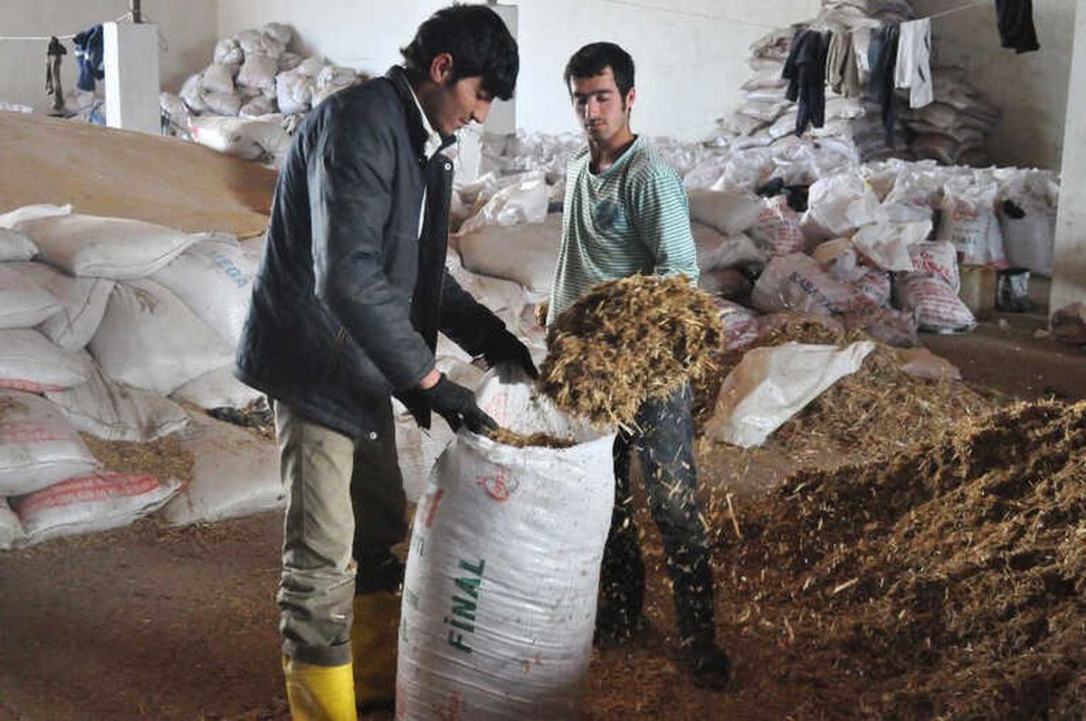 Hayvanlar İçin Su Kadar Önemli: \'Mermer Tozu\'
