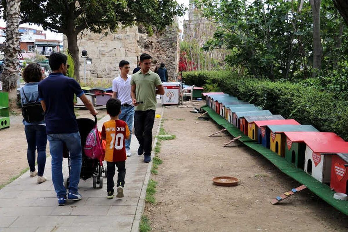 Kedi Parkı İçin Yeni Proje