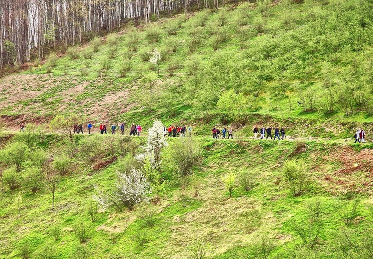 Doğaseverler Yörükyeri\'nde Yürüdü