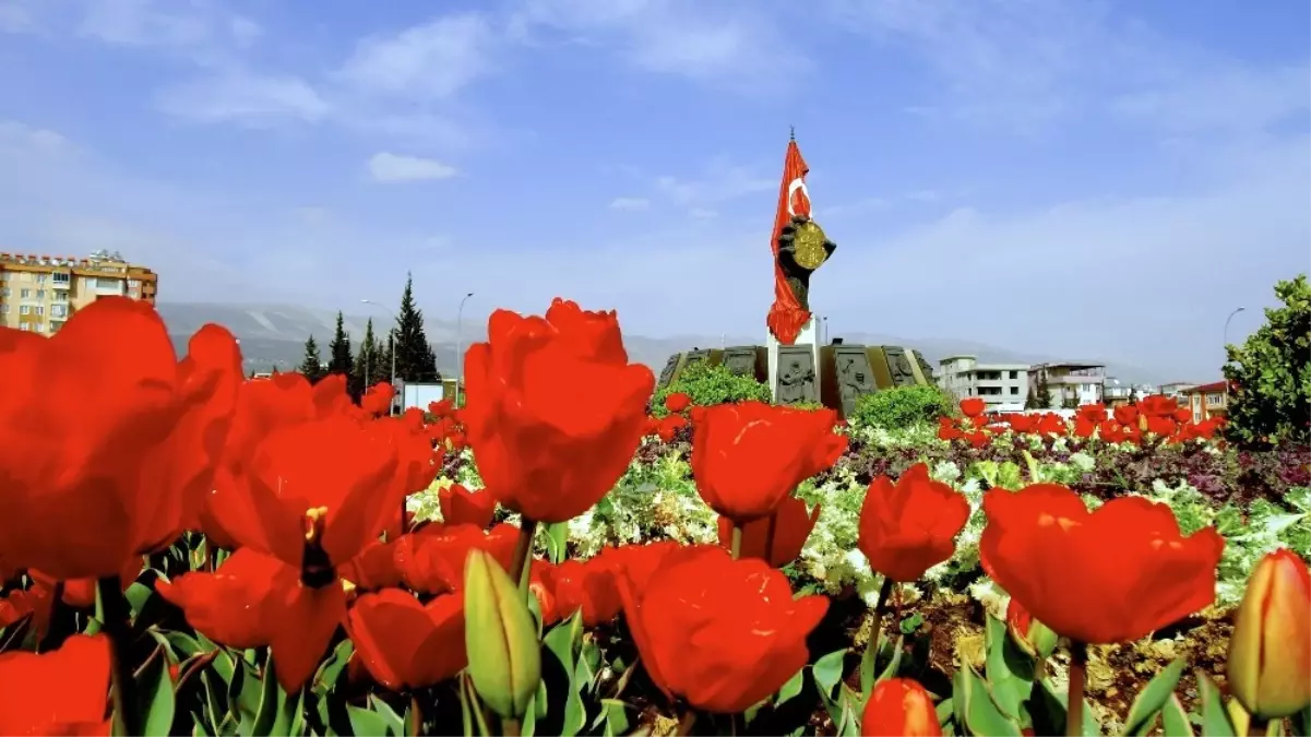 Kahramanmaraş Çiçek Açtı