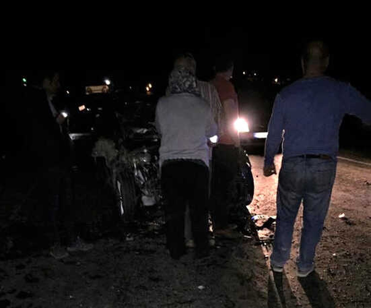 Otomobilin Çarptığı 8 Hayvan Telef Oldu