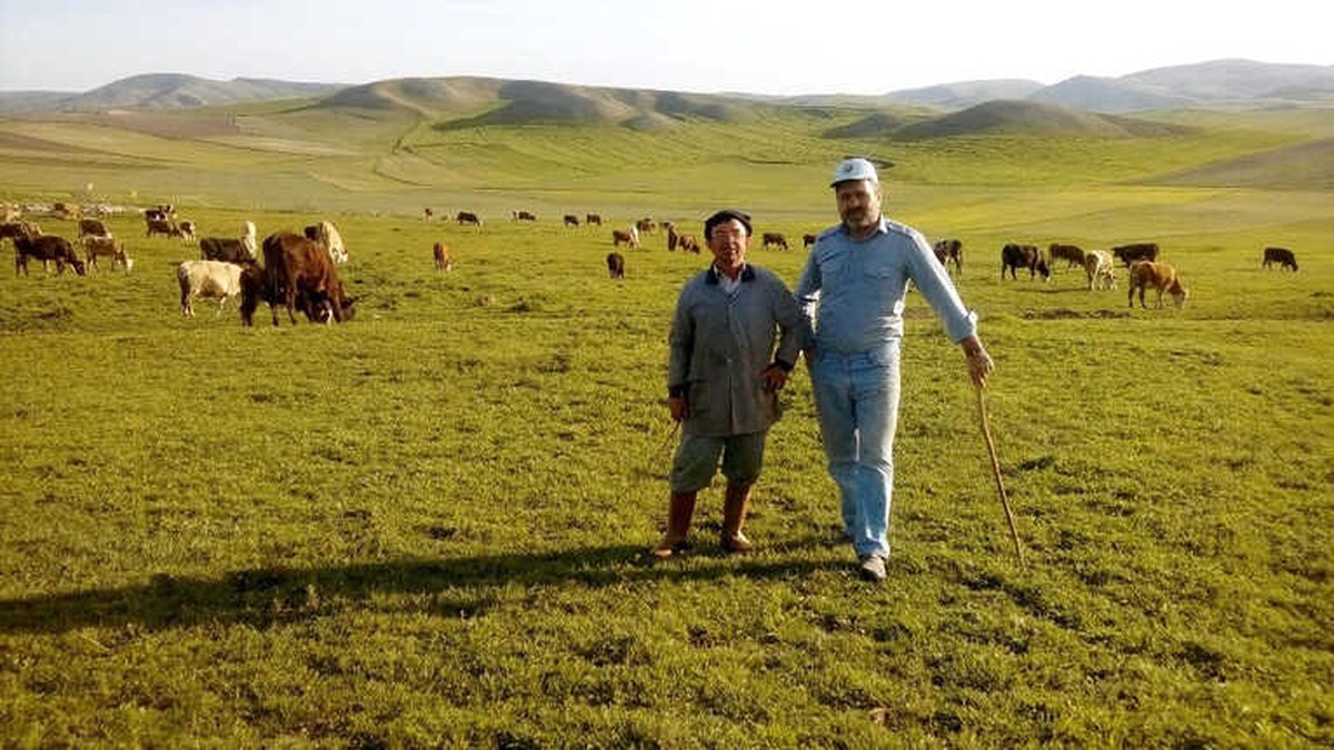 Yağışlar Yozgatlı Besicilerin Yüzünü Güldürdü