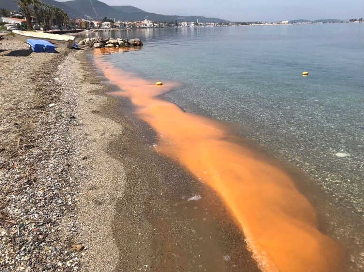 İzmir\'de Korkutan Görüntü