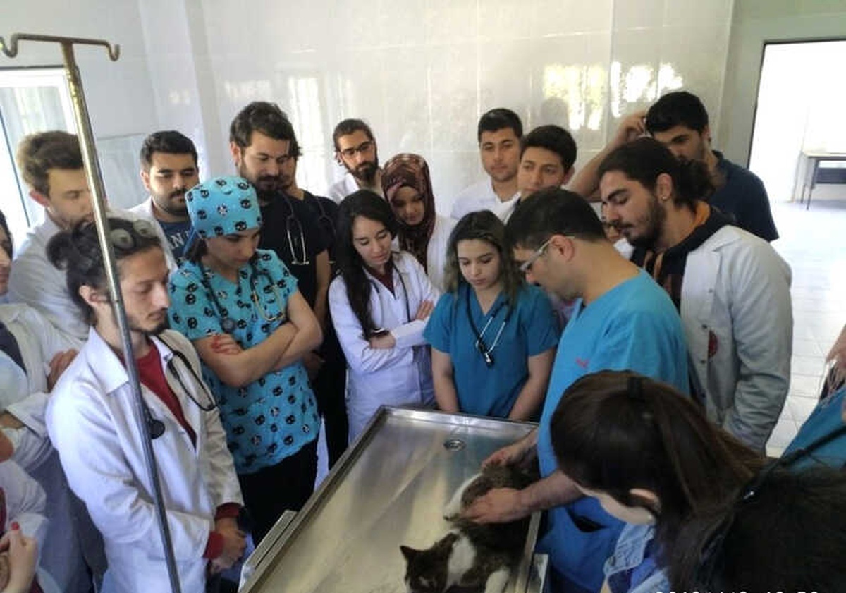 Öğrenciler Uygulamalı Eğitimlerini Osmaniye Belediyesi Hayvan Barınağı\'nda Yapıyor