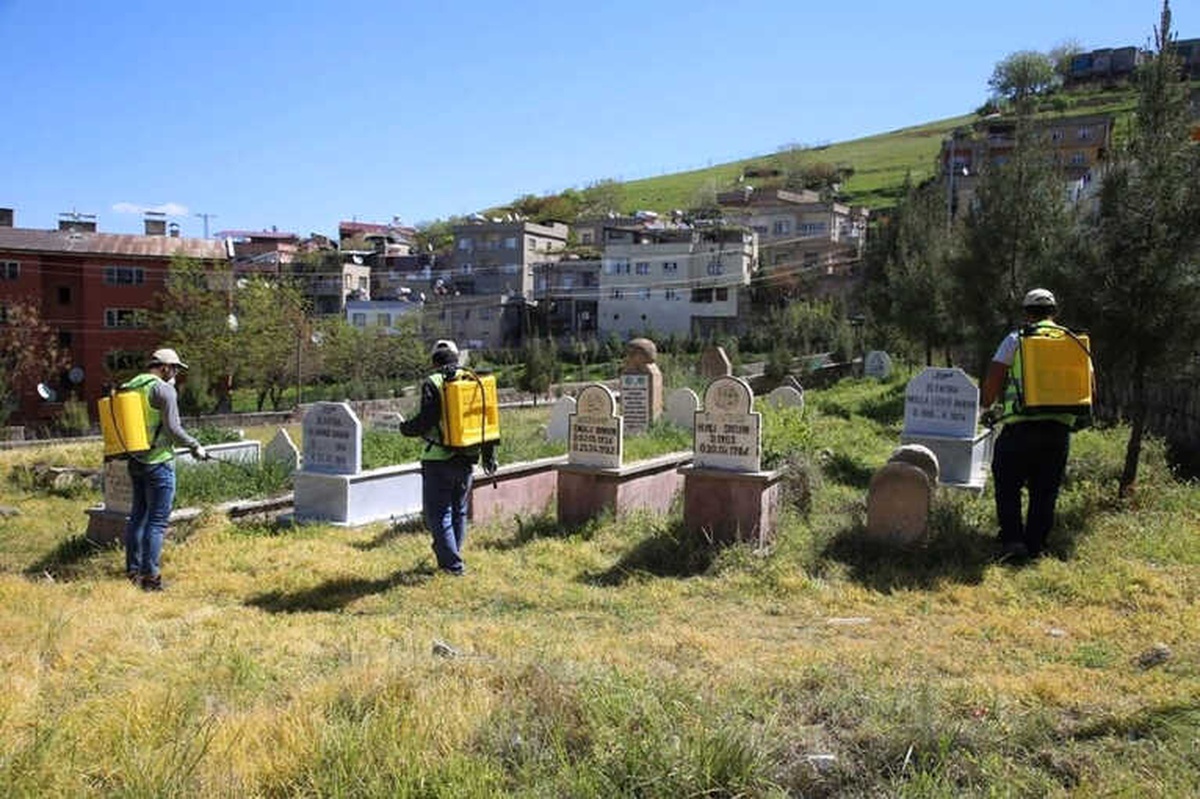 Siirt\'te Yeşil Alanlarda İlaçlama Çalışması Başlatıldı