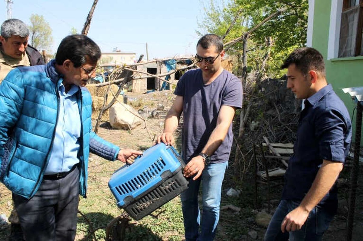 Sosyal Medya Üzerinden Keklik Satışı