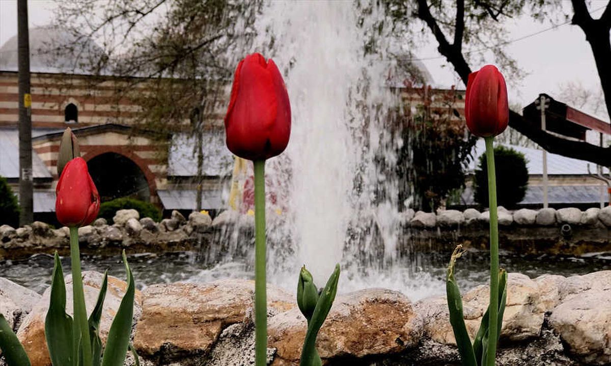 Edirne\'de "Lale Devri"