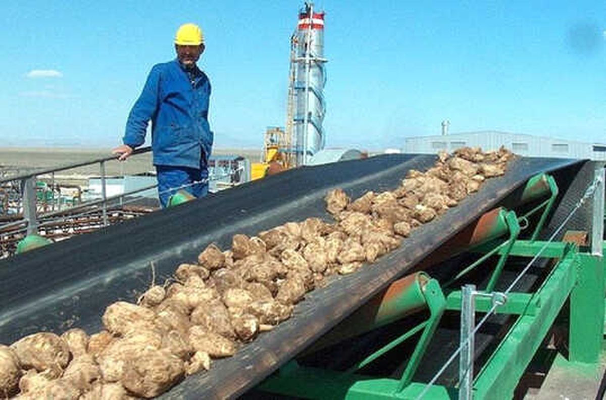 İki Şeker Fabrikası İhalesi İçin Başvuru Süresi Uzatıldı