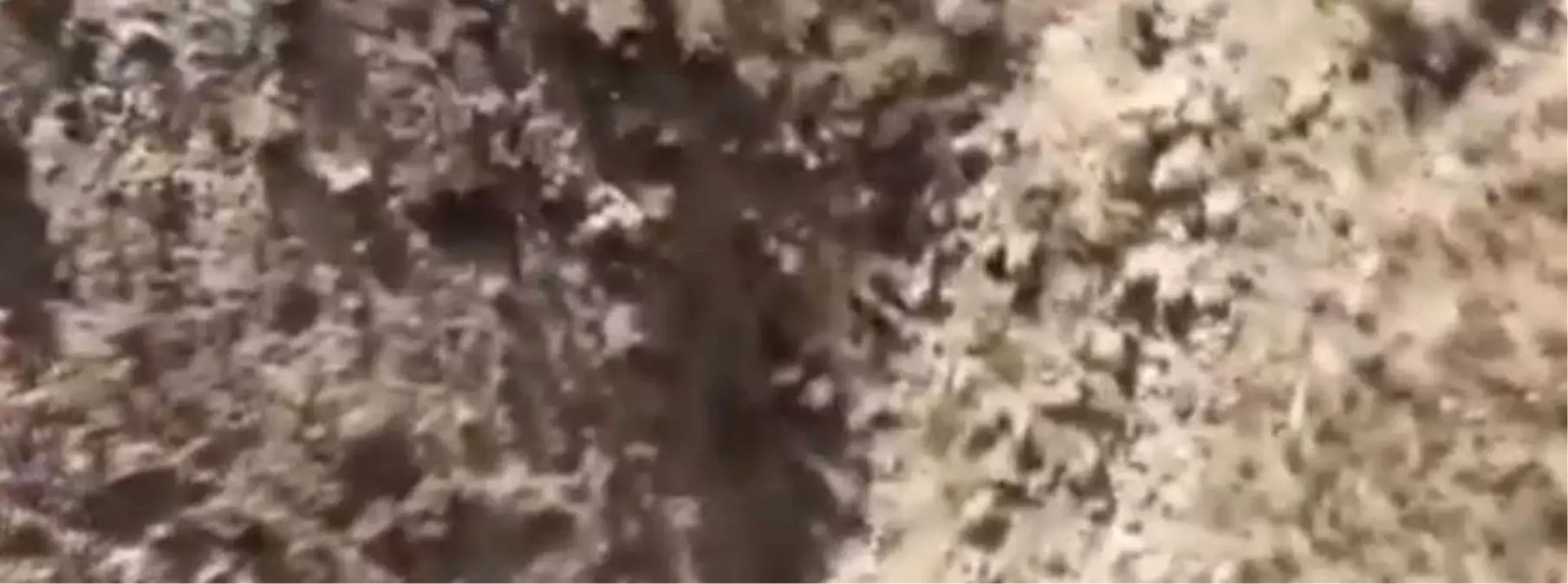 İran\'da Düşen Jetin Karakutuları Paris\'te Açıldı, Kazanın Esrarı 10 Gün İçinde Çözülecek