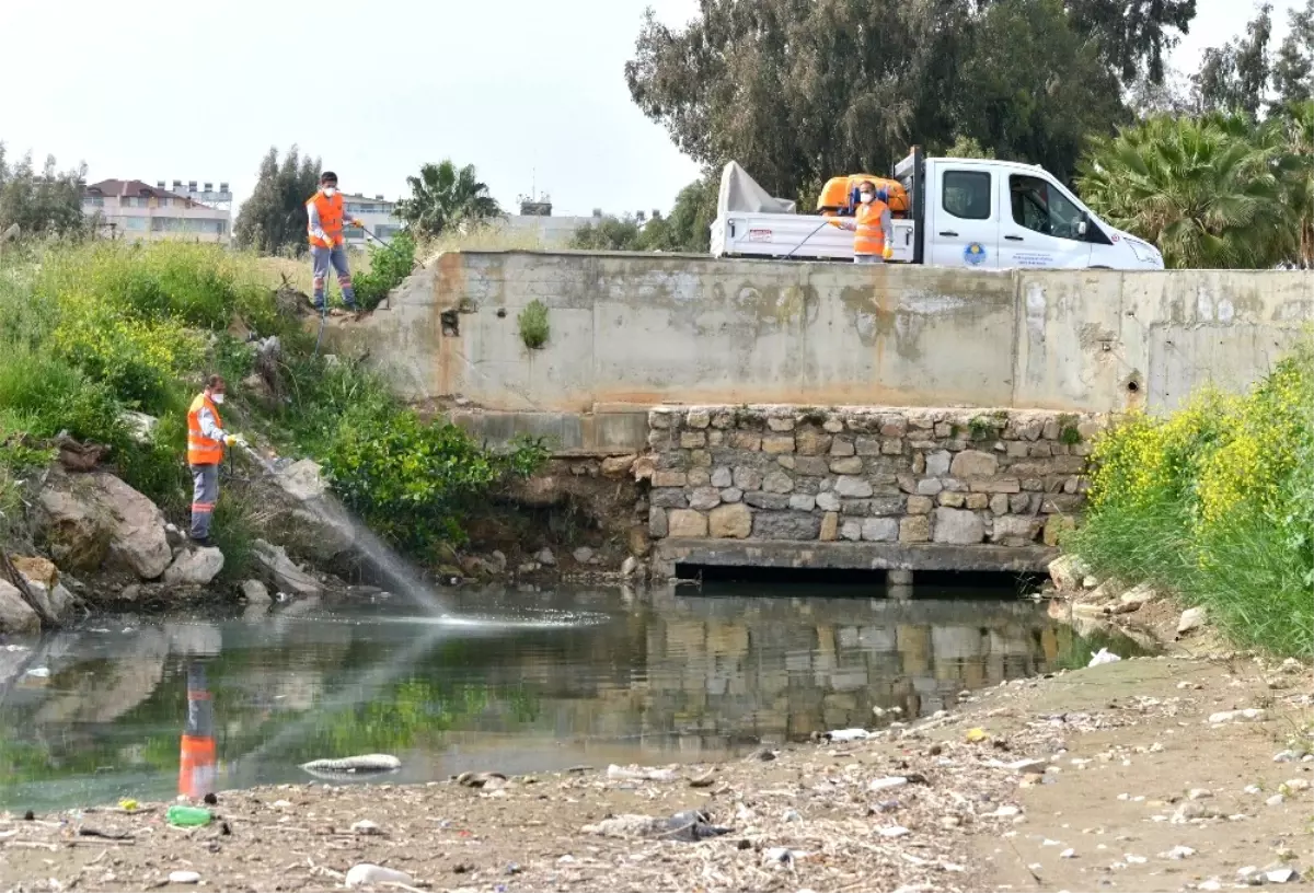 Mersin\'de Haşere ile Mücadele Çalışmaları Sürüyor