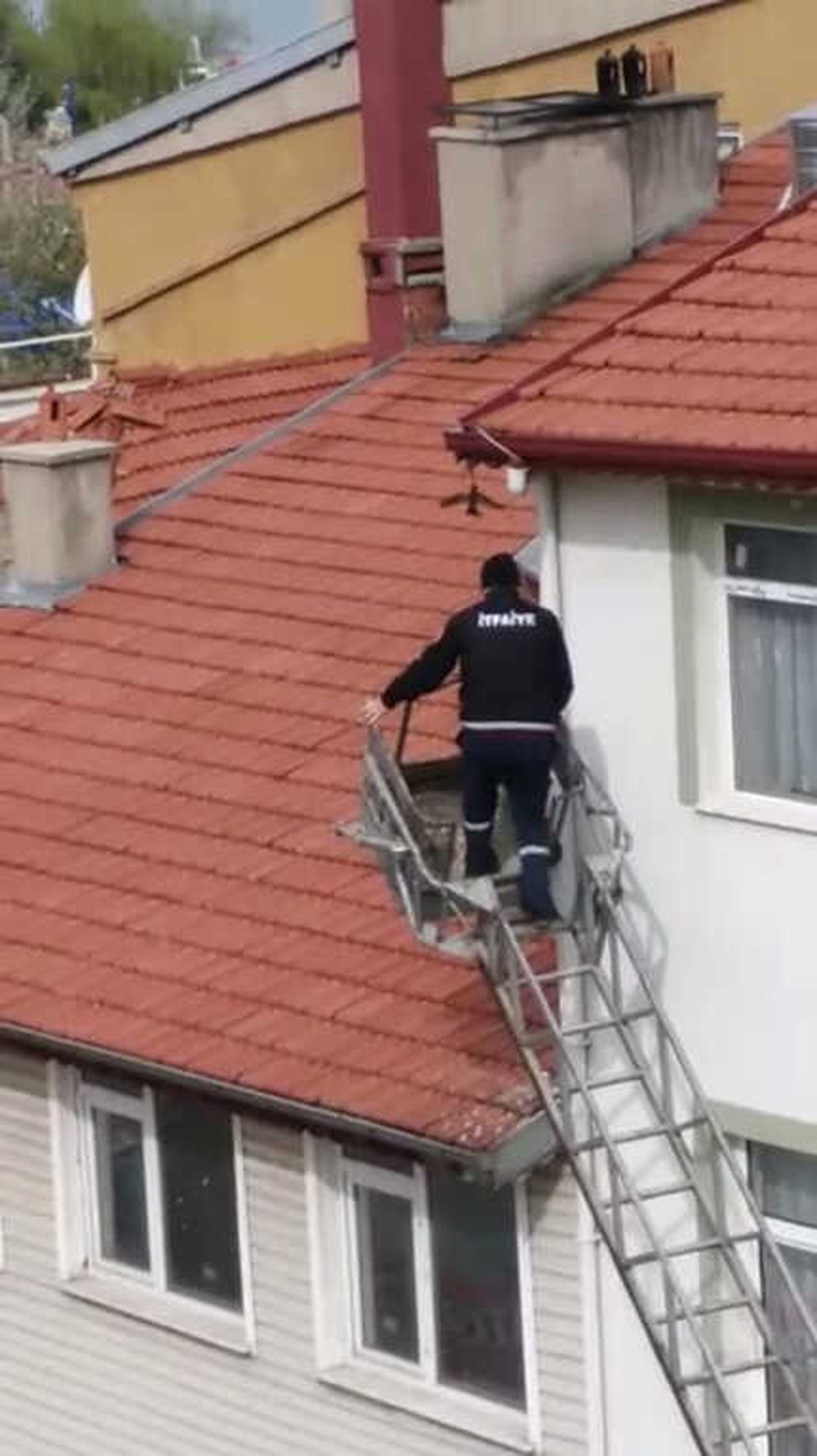 Tellere Takılan Sığırcık İtfaiyeciler Tarafından Kurtarıldı
