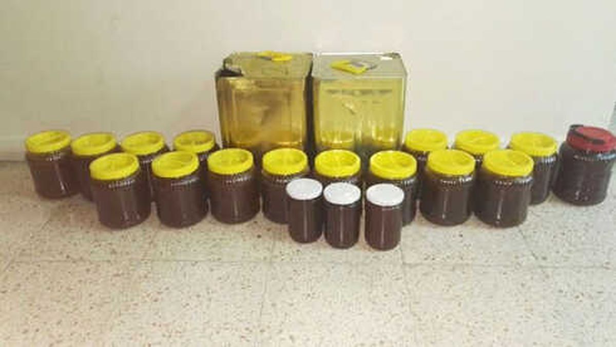 Bal Hırsızları Yakalandı
