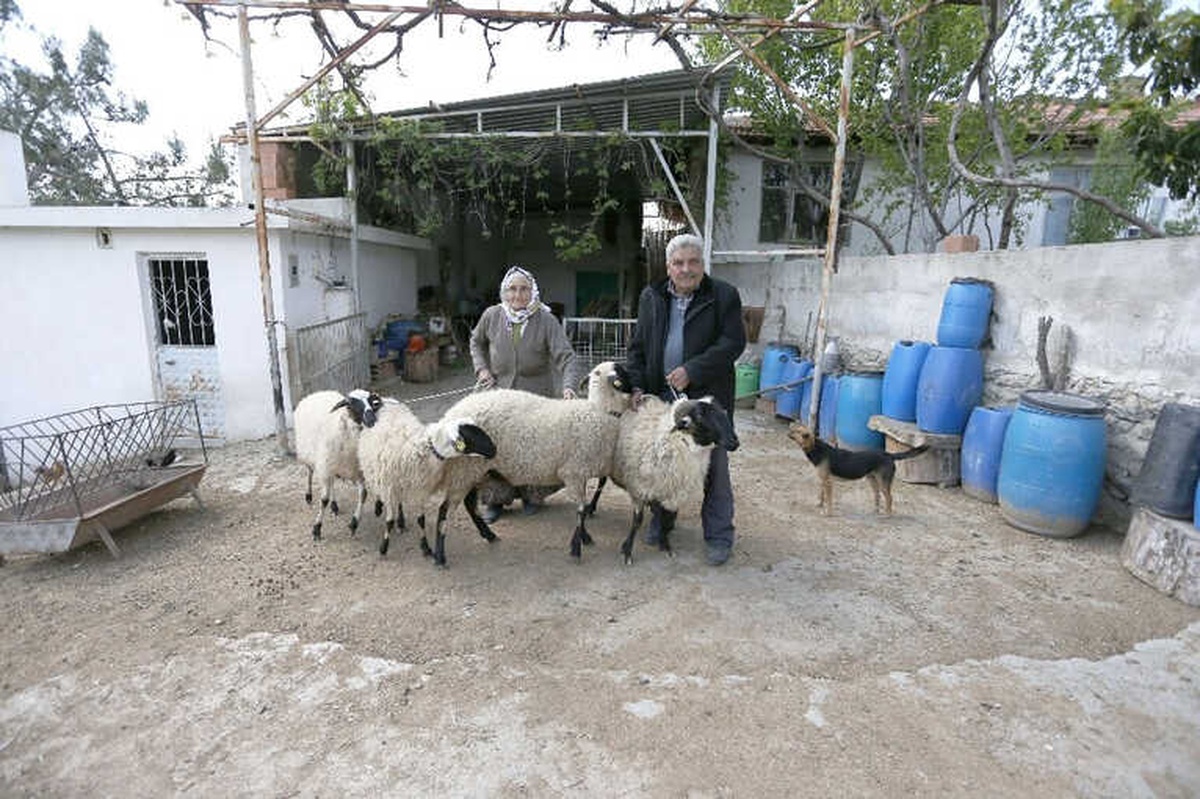 Büyükşehir\'den Şehit Yakınlarına Destek