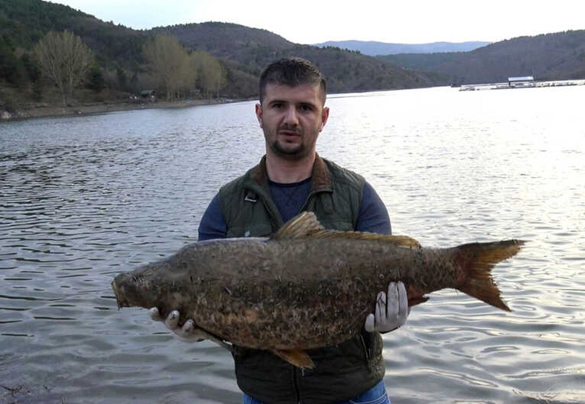 Kastamonu\'da Barajdaki Toplu Balık Ölümleri Korkuttu