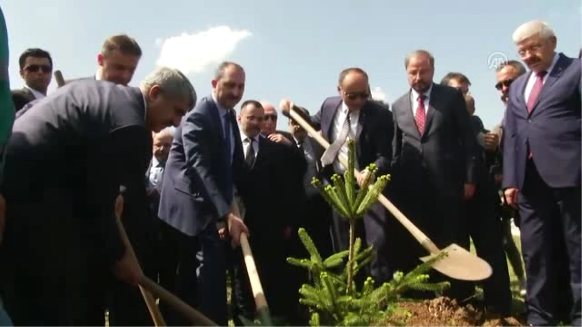 Adalet Bakanı Gül, Fidan Dikim Törenine Katıldı