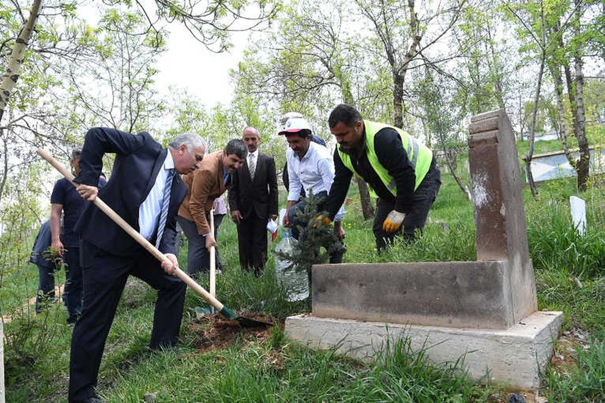 Muş Belediyesinden Yeşillendirme Çalışması