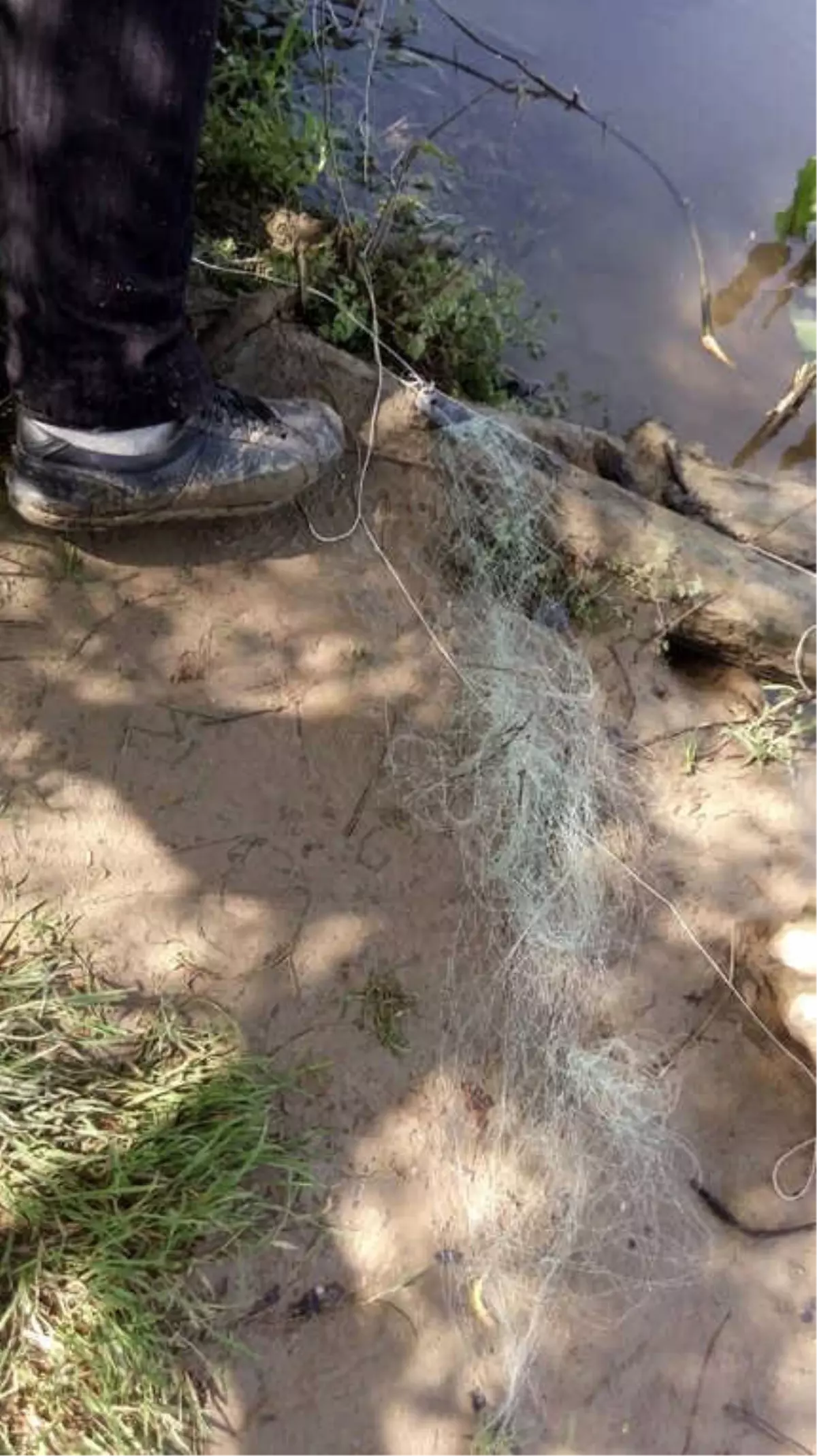 Osmaneli \'De Kaçak Avlanan 3 Balıkçıya Para Cezası