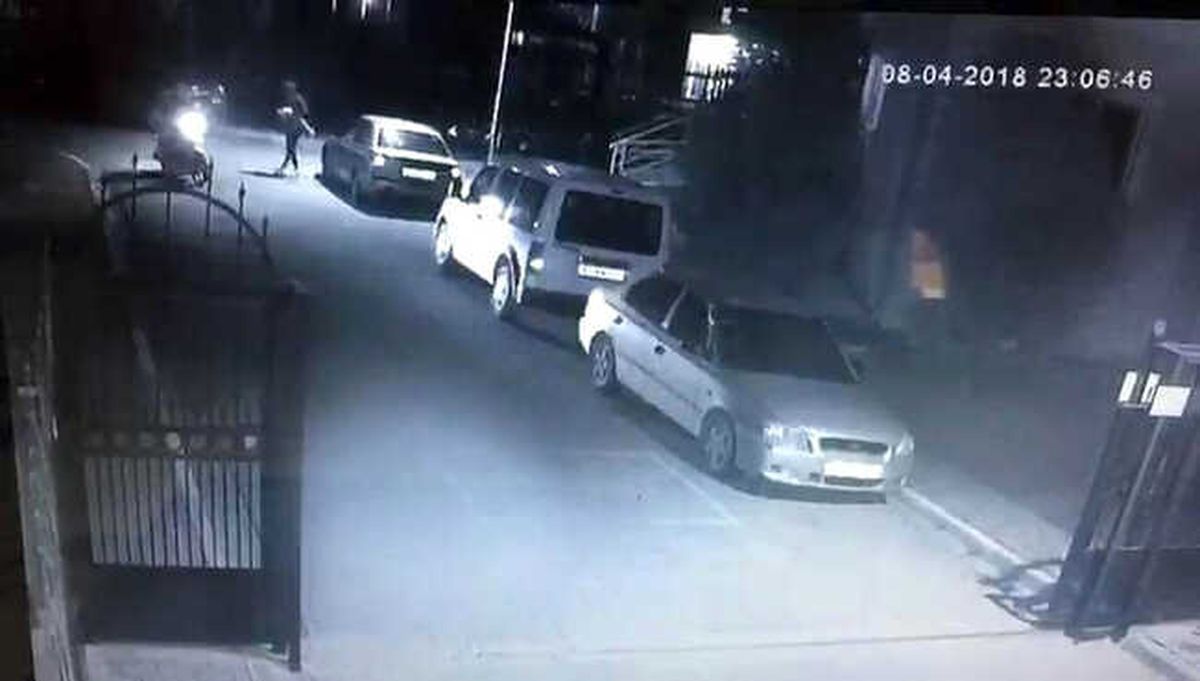 Sakarya\'da İran Cinsi Kedi Kimliği Belirsiz Kişi Tarafından Çalındı