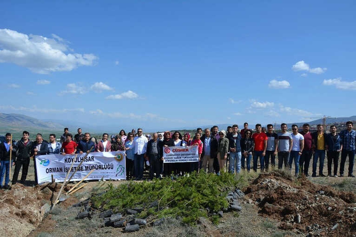 Suşehri\'nde Üniversite Öğrencileri Fidan Dikti