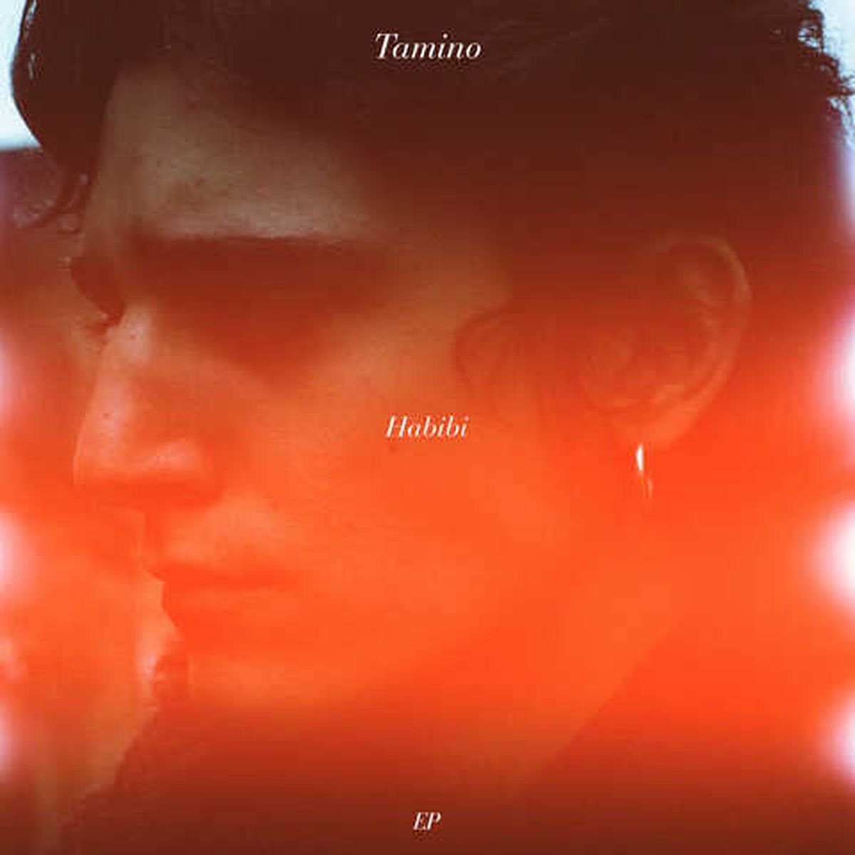 Tamino ile Tanışın