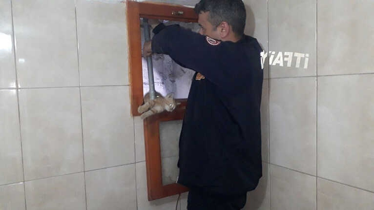 Yavru Kediyi İki Günlük Esaretinden İtfaiye Kurtardı
