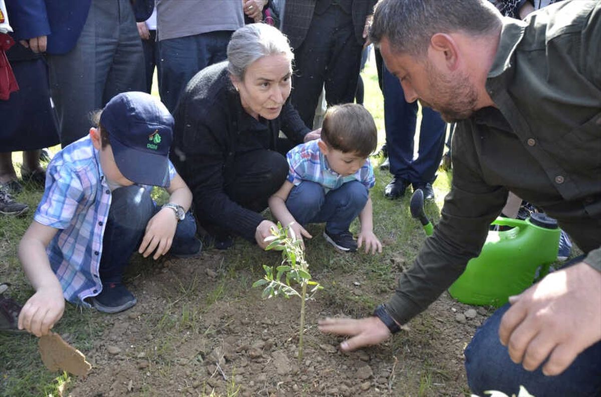 Afrin Şehitleri İçin Hatıra Ormanı Oluşturuldu