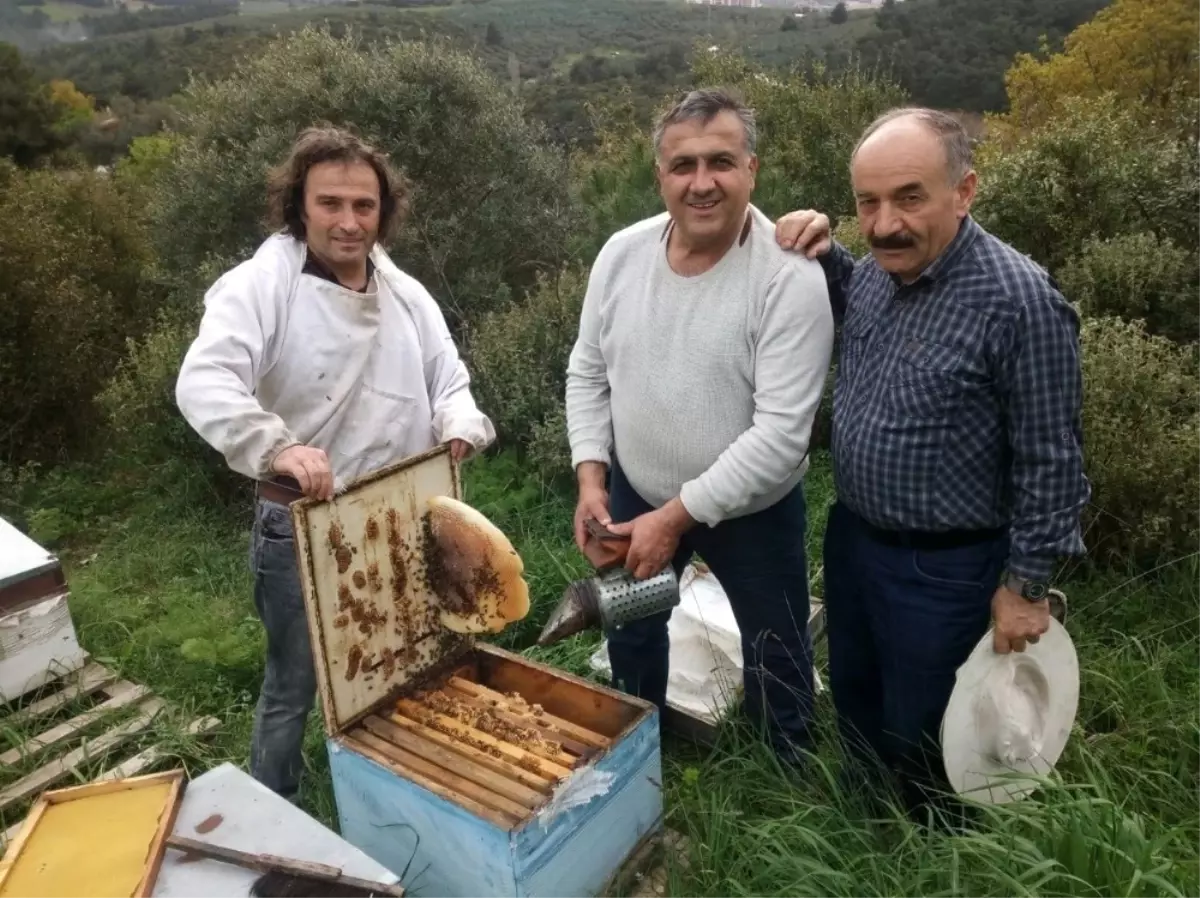 Bal Hasadına Mudanyalı Üreticilerden Katkı