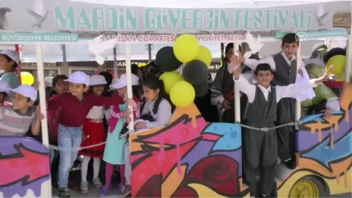 Mardin Güvercin Festivali (2)