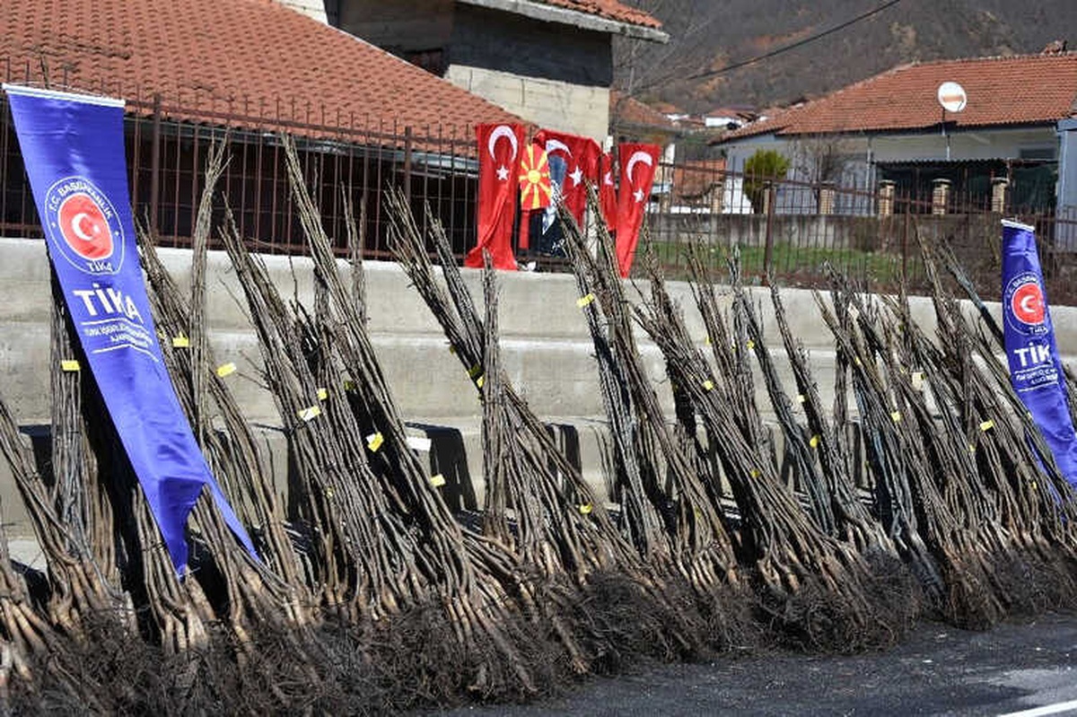 Tika\'dan Makedonya\'da Ceviz Yetiştiriciliğine Destek