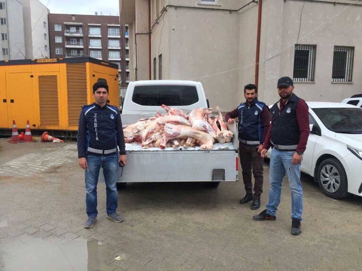 Van Büyükşehirden Kaçak Kesim Operasyonu