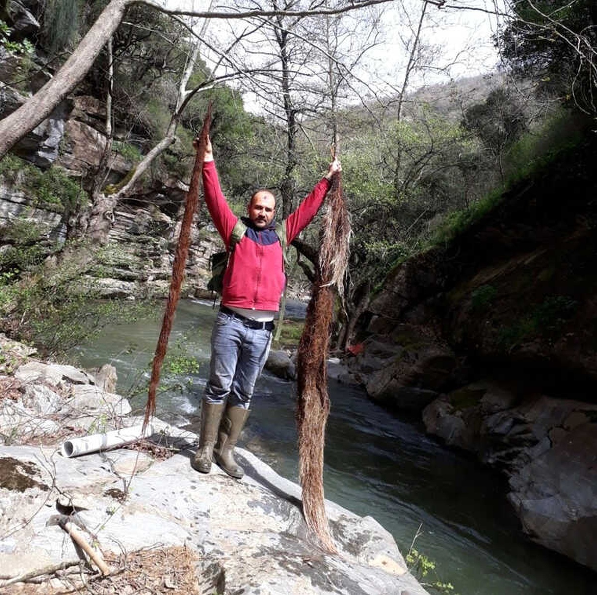 İçme Suyu Hattından 2 Metrelik Ağaç Kökü Çıktı