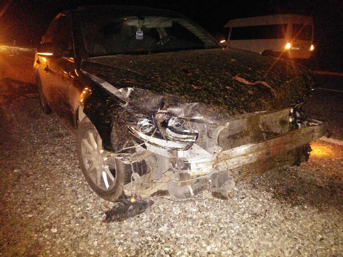 Otomobilin Çarptığı 20 Koyun Telef Oldu