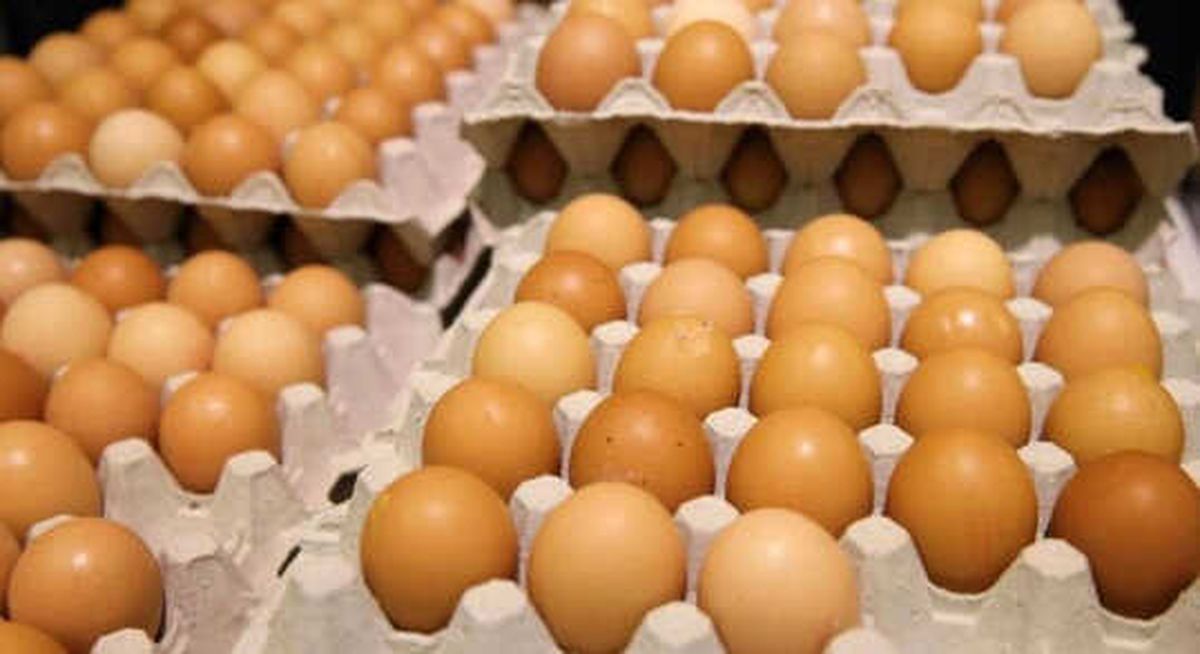 Yumurtada Yeni Uygulama Yarın Başlıyor