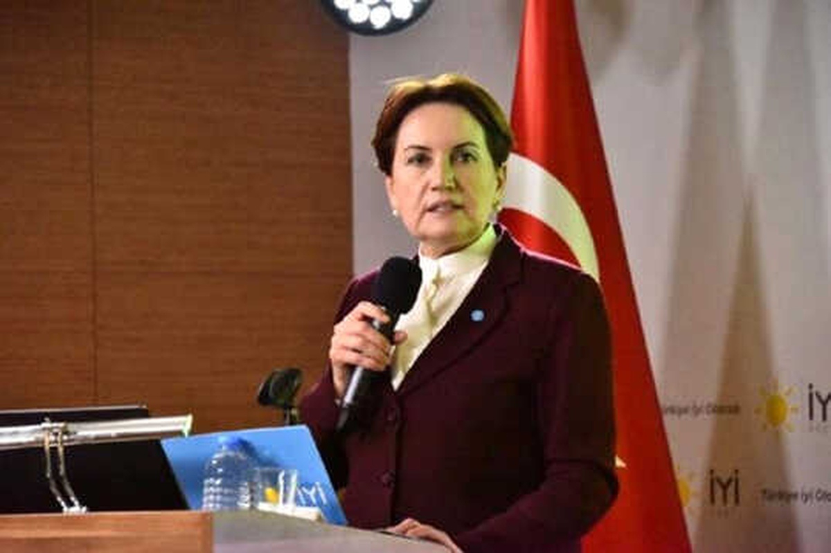 Akşener: Hani Bizim Dolarla, Euroyla İşimiz Yoktu