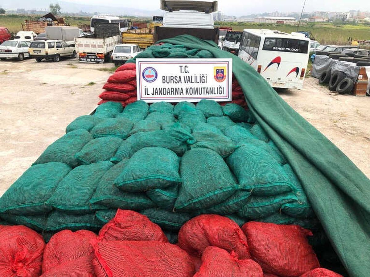 Bursa\'da 30 Ton Kaçak Midye Ele Geçirildi