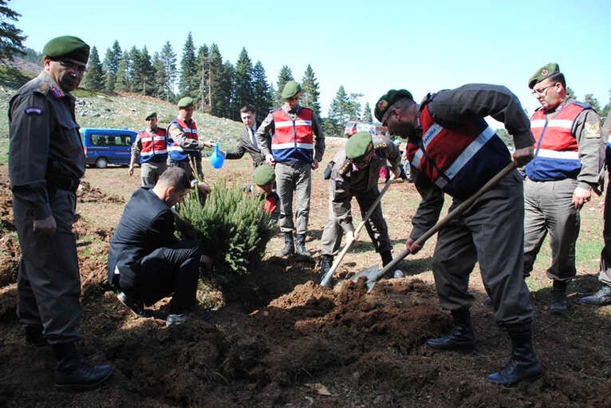 Jandarmadan Ağaçlandırma Seferberliğine Destek