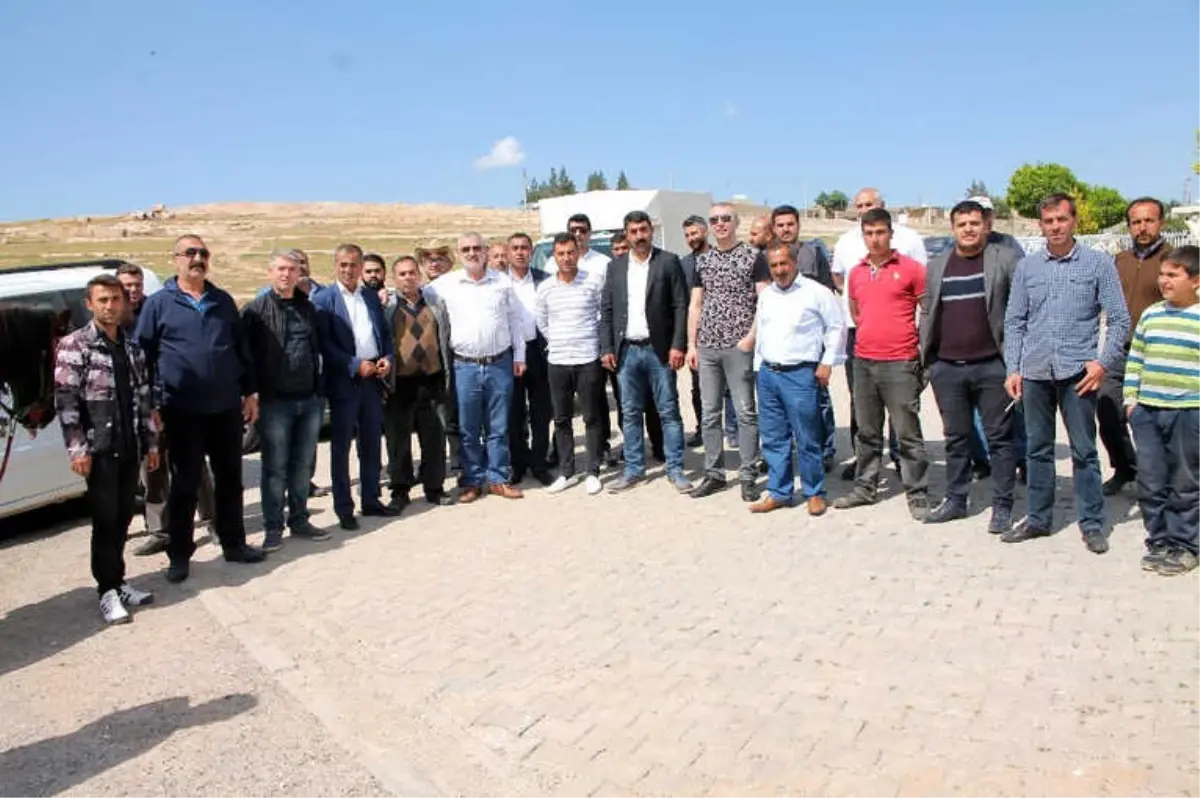 Midyat\'ta Rahvan Atları İçin Hipodrom Yapılacak