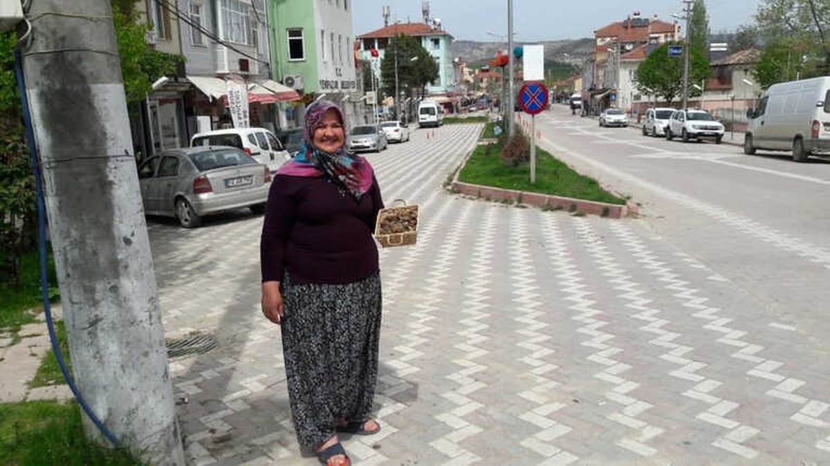 Yenipazar Dağlarında \'Kuzugöbeği\' Mantarı Bereketi