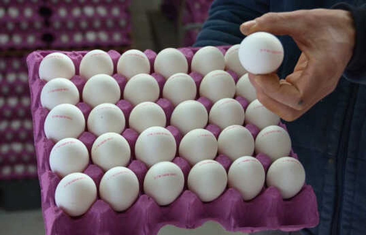 Yumurta Satışında Yeni Dönem Bugün İtibariyle Başlıyor