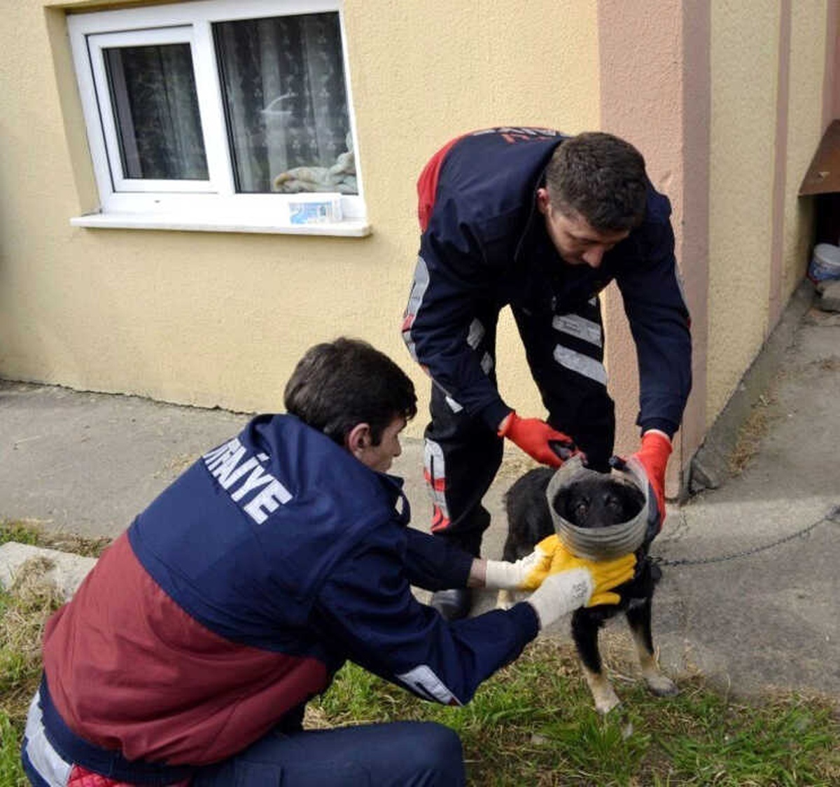 Başı Bidona Sıkışan Yavru Köpeğin Yardımına İtfaiye Yetişti