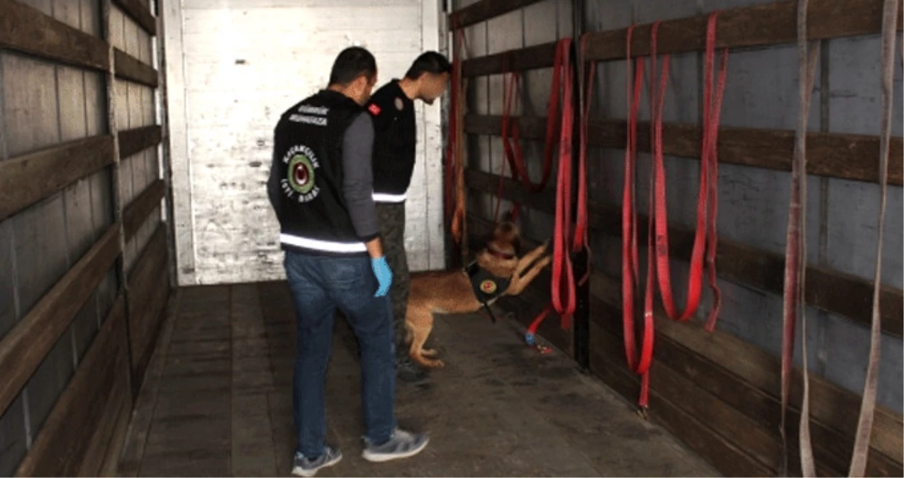 TIR\'da 4 Milyon Liralık Uyuşturucuyu Dedektör Köpek "Jack" Buldu