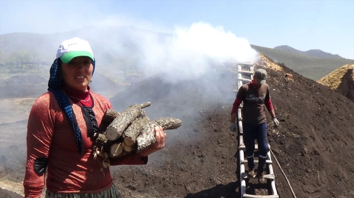 Mangal Kömürünün Karasından Ekmek Parası Kazanıyorlar