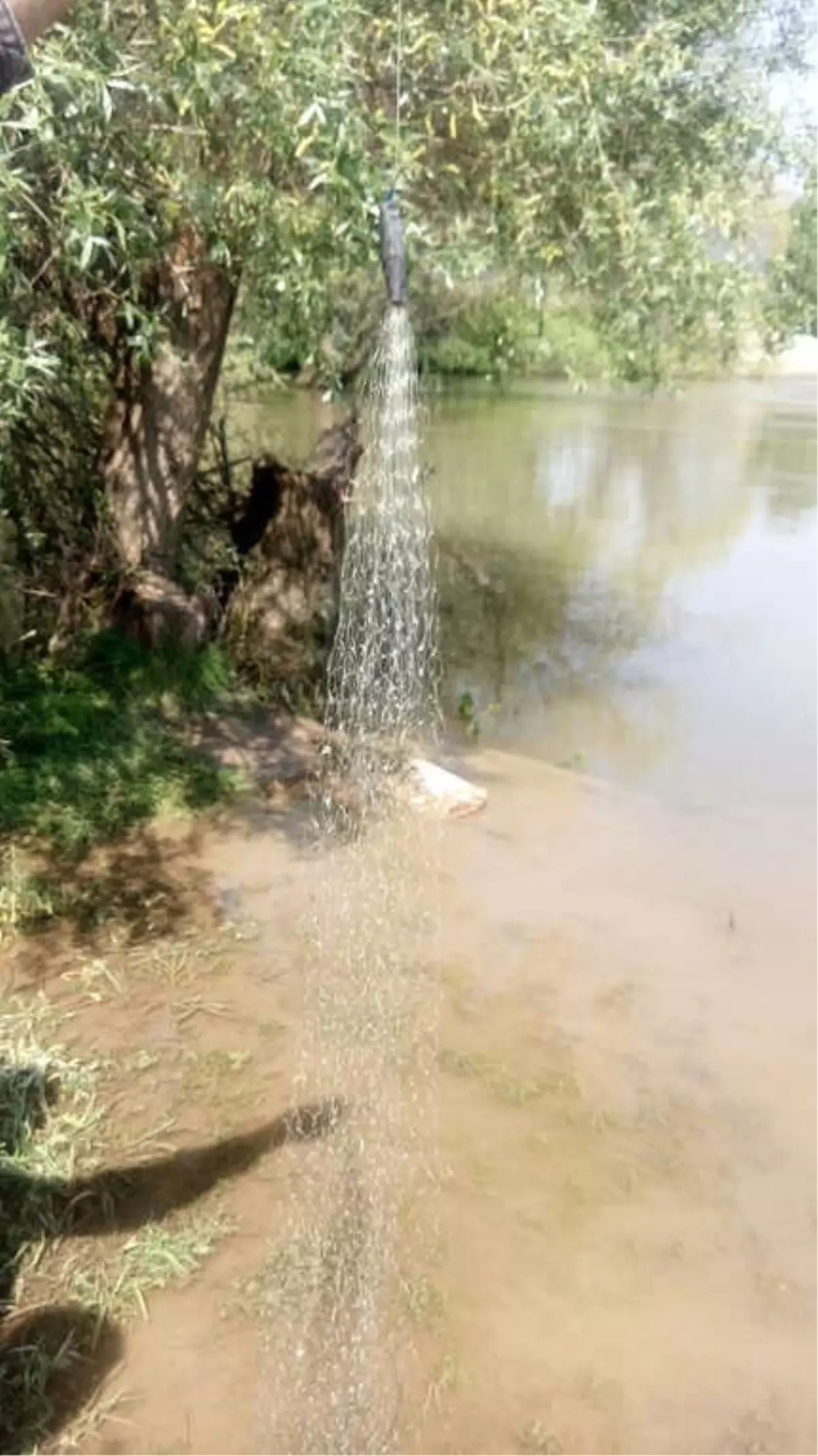 Osmaneli Jandarma Ekipleri Kaçak Avlananlara Göz Açtırmıyor