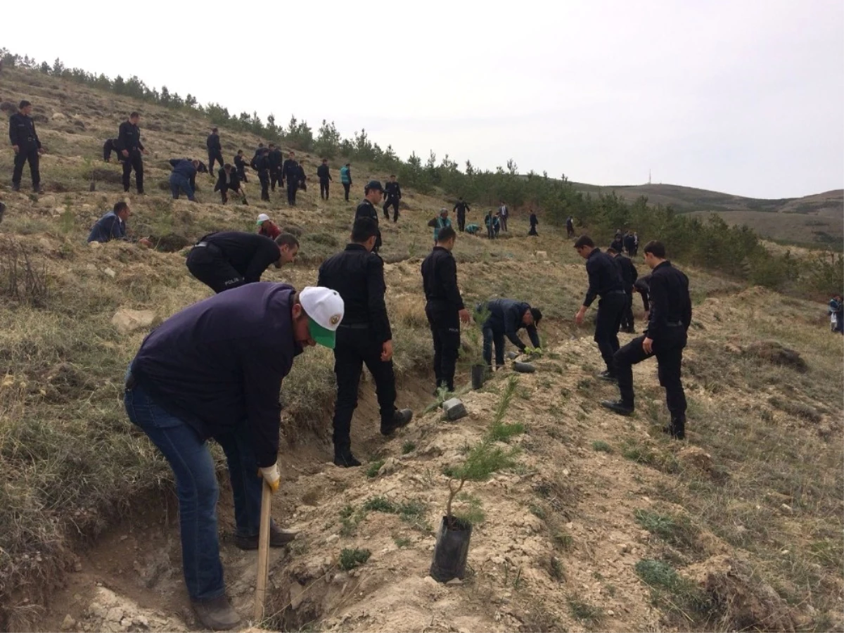 Bayburt\'ta Şehitler İçin Hatıra Ormanı Oluşturuldu