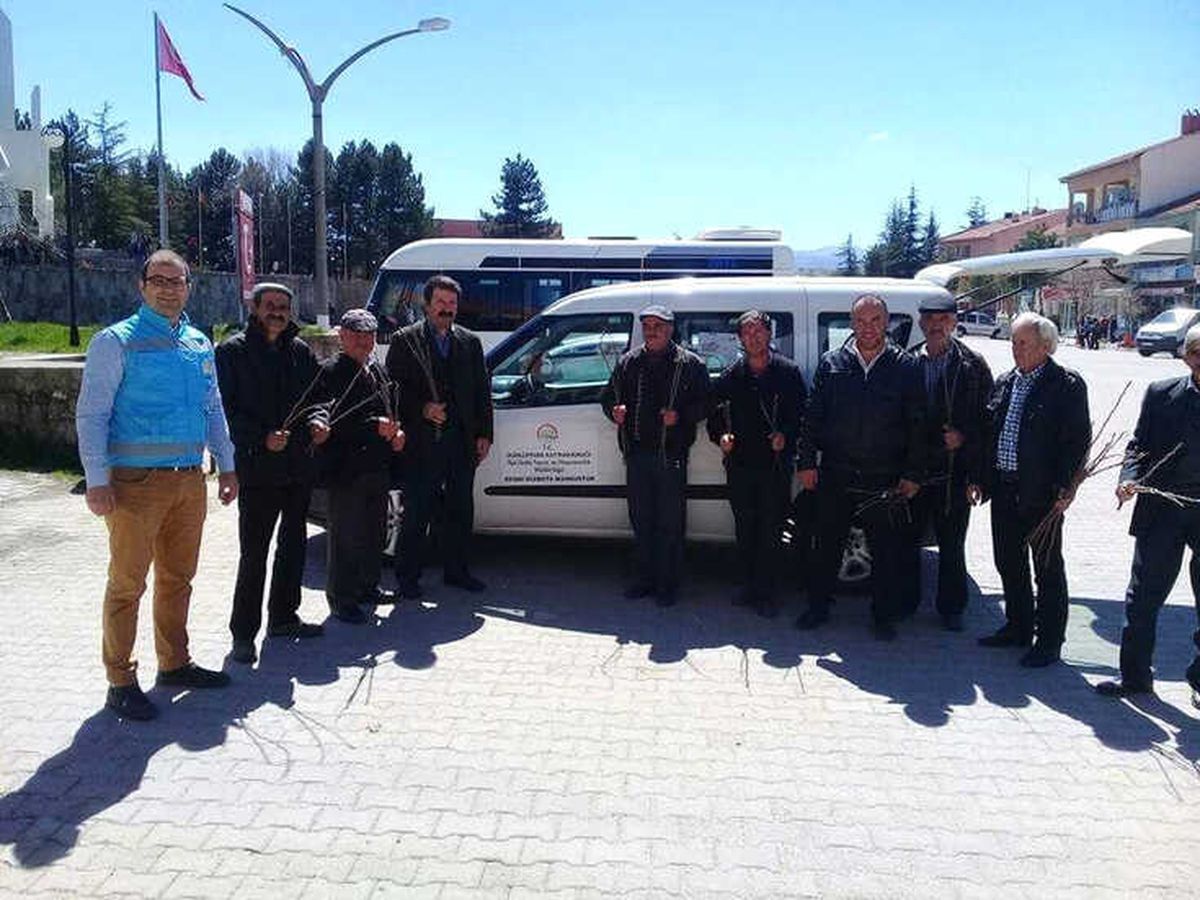 Dumlupınar\'da Çiftçilere Aşılamaları İçin Meyve Kalemleri Dağıtıldı