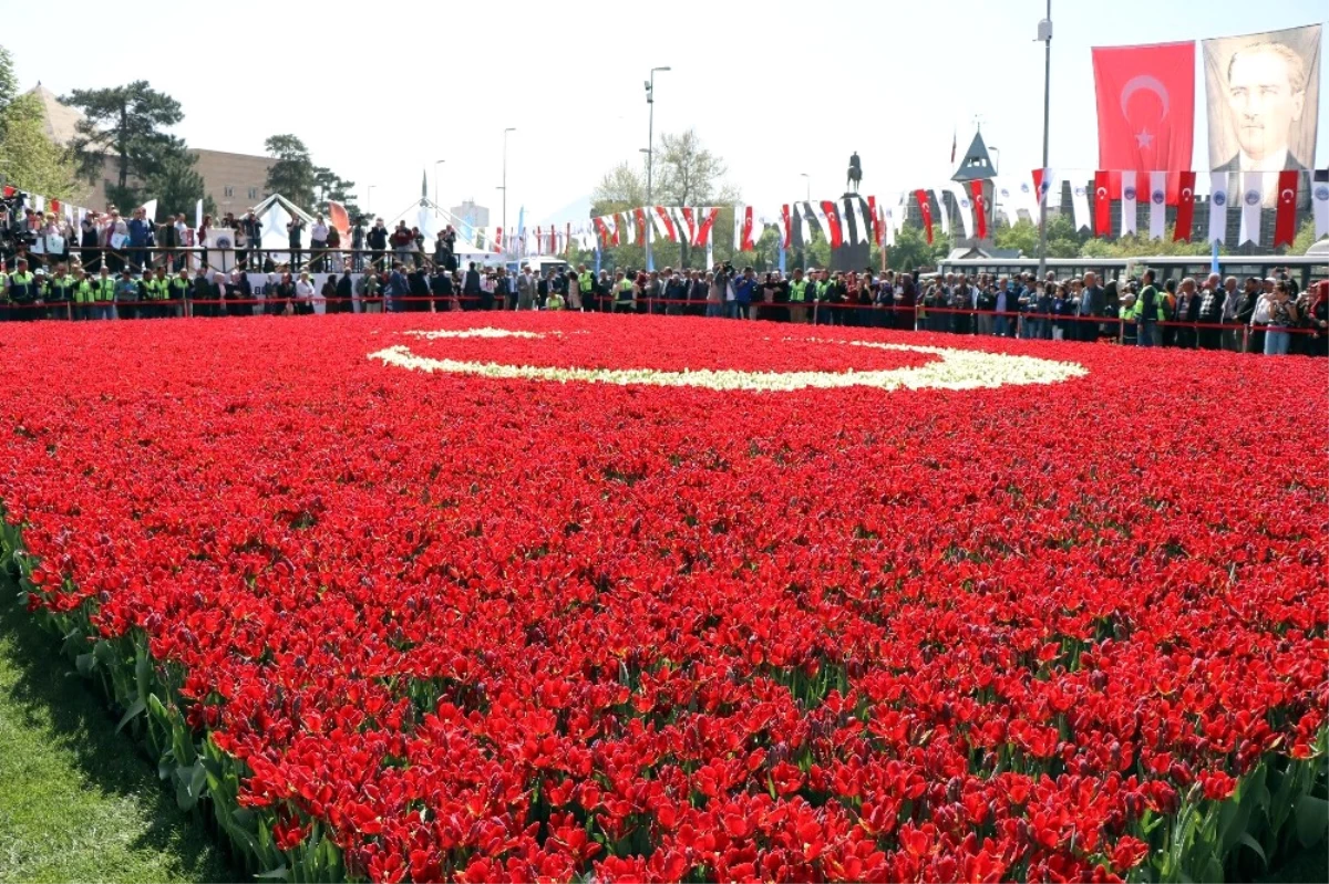 Dünyanın En Büyük Türk Bayrağı Temalı Lale Peyzajı Rekorlar Kitabı\'na Girdi