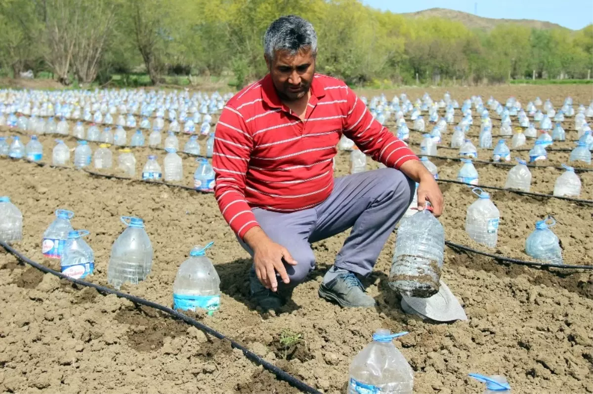 Hurdacıdan Aldığı 3 Bin Pet Şişeyle Sera Yaptı